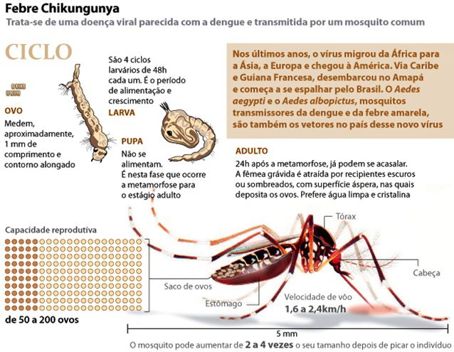 20141020114255412347a