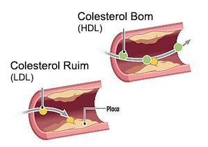 colesterol2