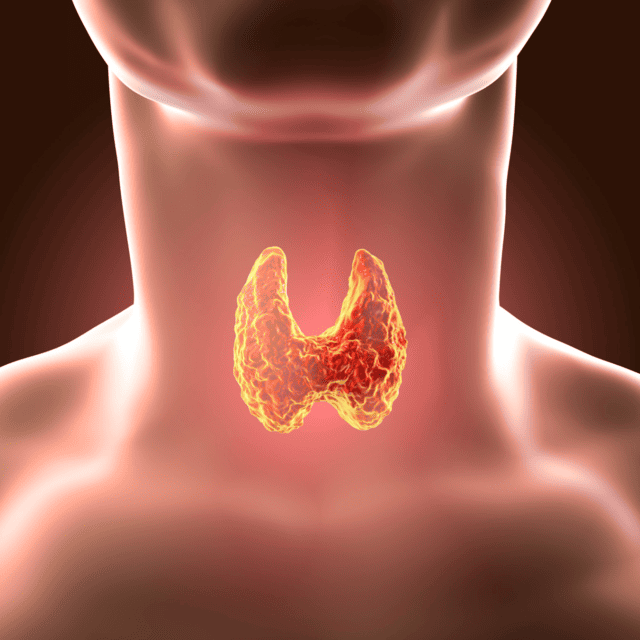 Avalição e manejo do Hipoparatireodismo - Laboratório São Paulo