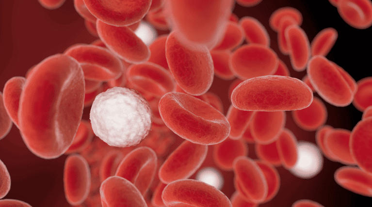 Alterações do hemograma no paciente crítico - Laboratório São Paulo